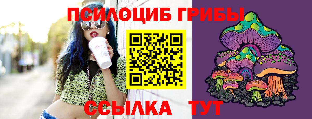 Галлюциногенные грибы прущие грибы  Вход с VPN  Ноябрьск 
